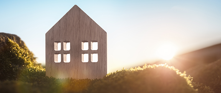 Homeowner Assistance Fund