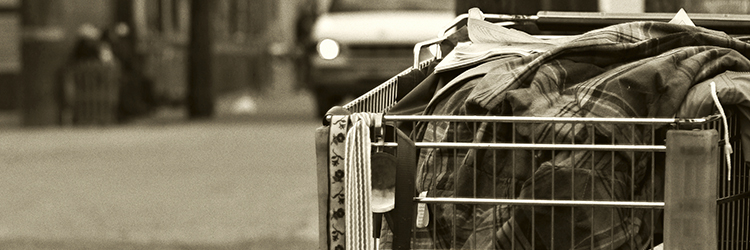 Homeless System