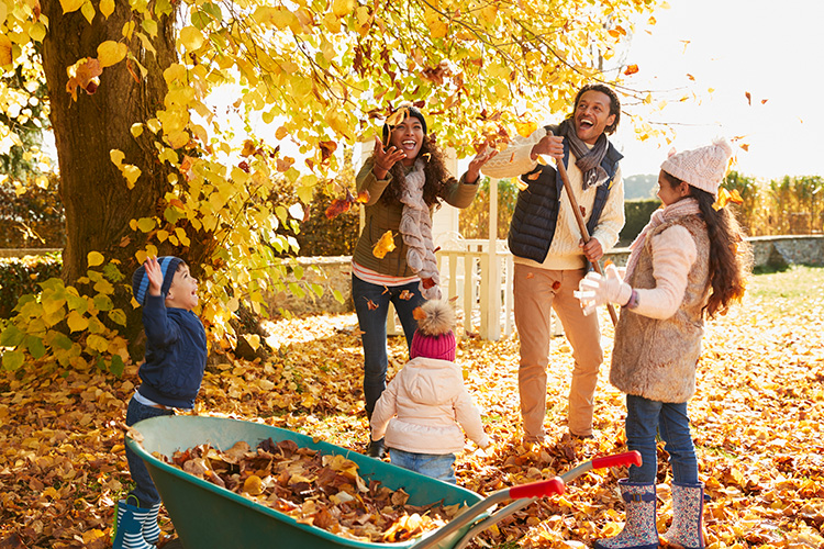 Fall Home Preparation